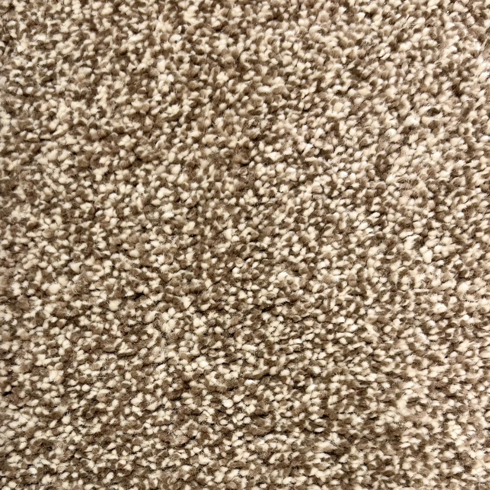 Cosiness saxony carpet in colour Cedar