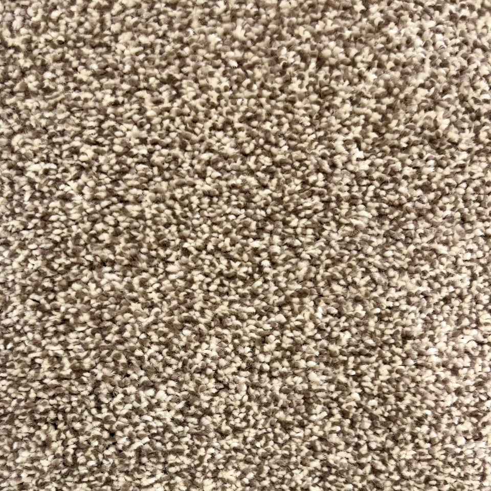 Cosiness saxony carpet in colour Kai