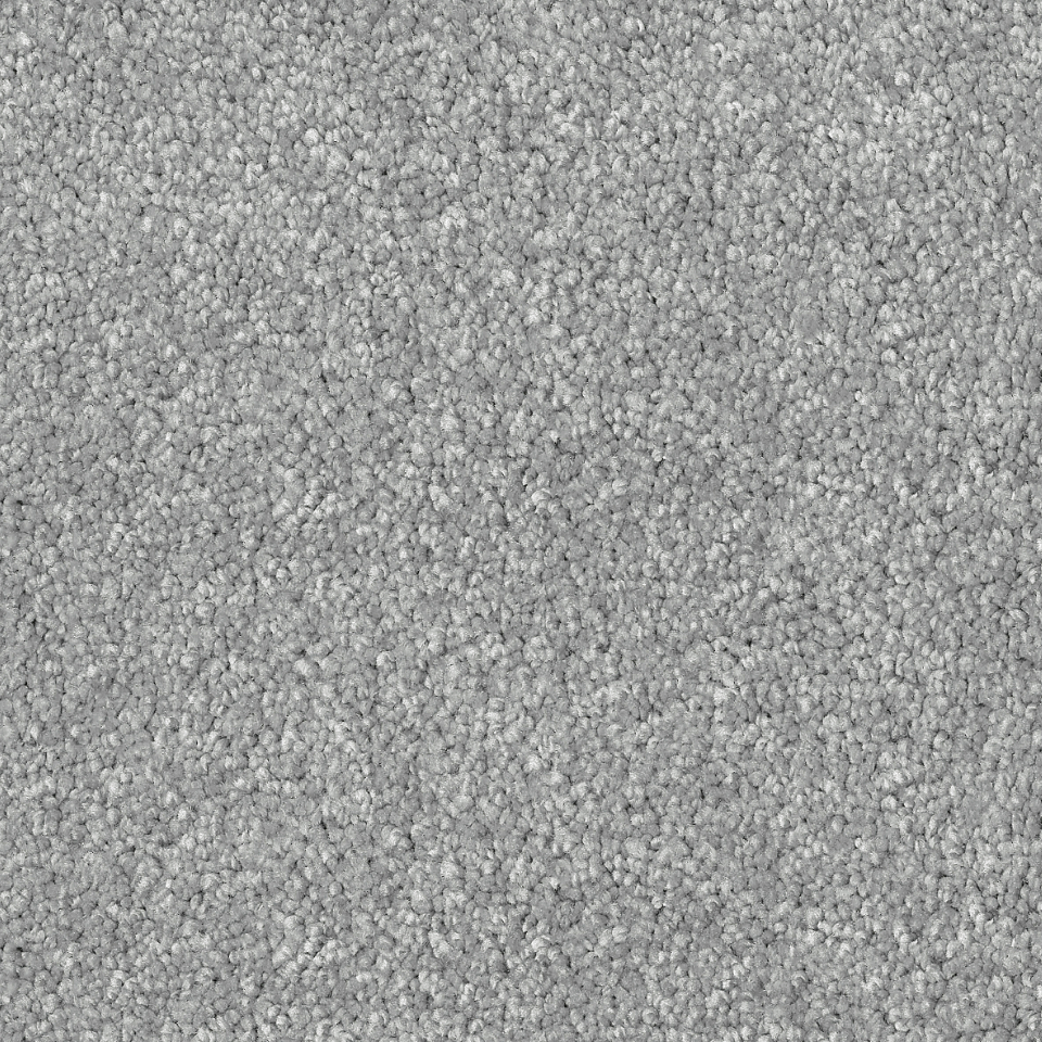 desire saxony carpet in colour Pepper