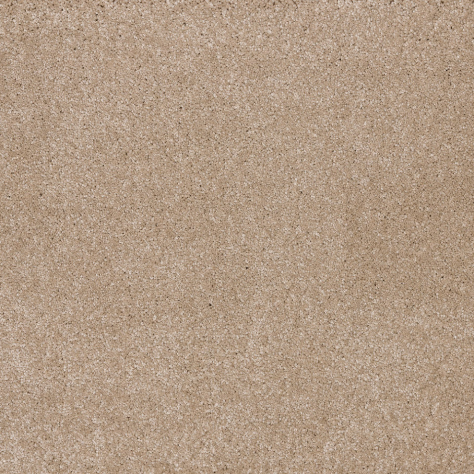 Dreamy Delight saxony carpet in colour Singing sand