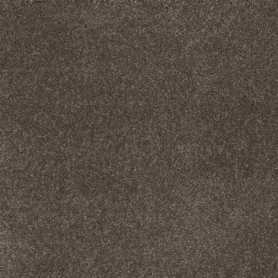 Dreamy delight saxony carpet in colour Cool Charcoal