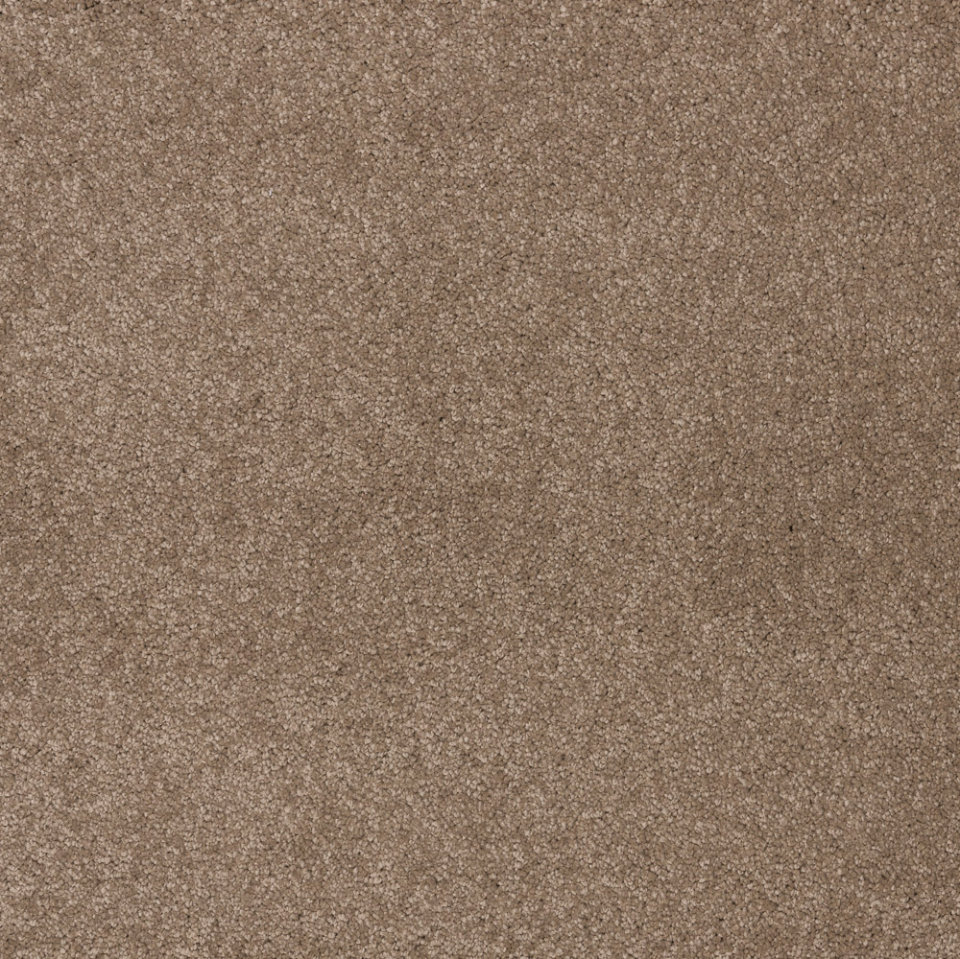 Dreamy delight saxony carpet in colour Dolomite