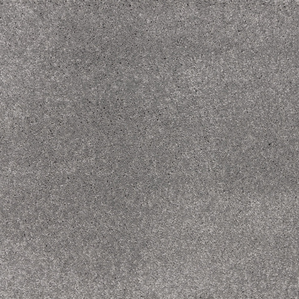 Dreamy delight saxony carpet in colour Steel Mill
