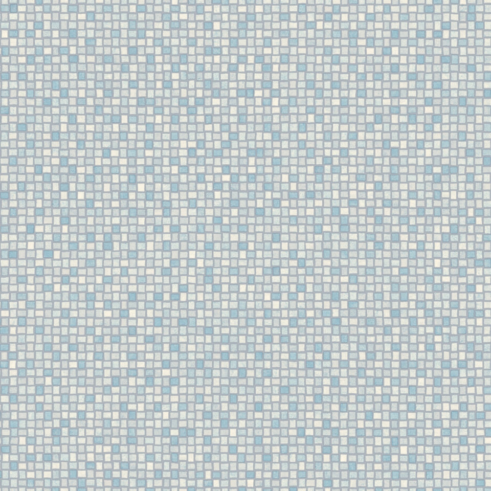 Feature step Nemo 573 vinyl