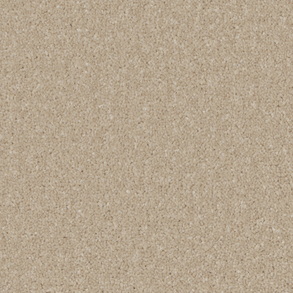 Florence twist pile carpet in bay light