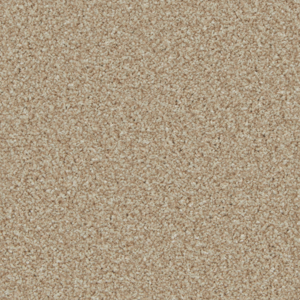 Florence twist pile carpet in Caracal