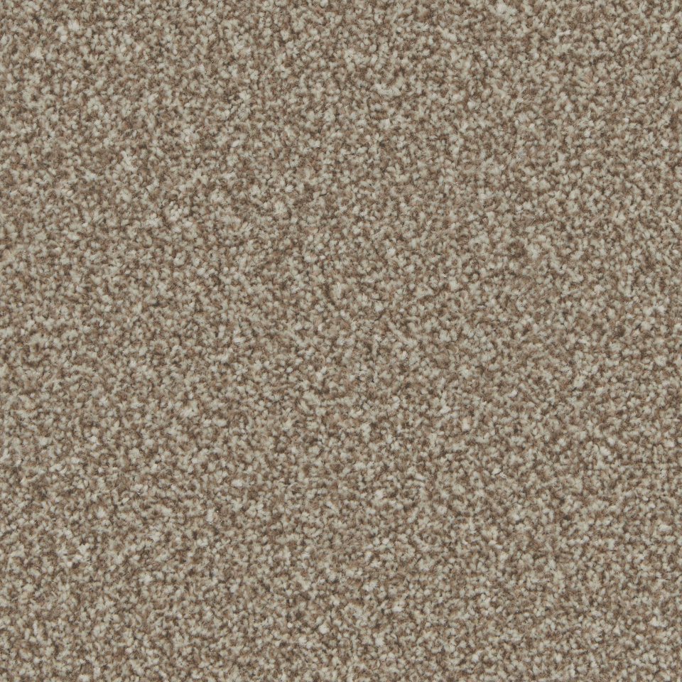 Florence twist pile carpet in Kernel