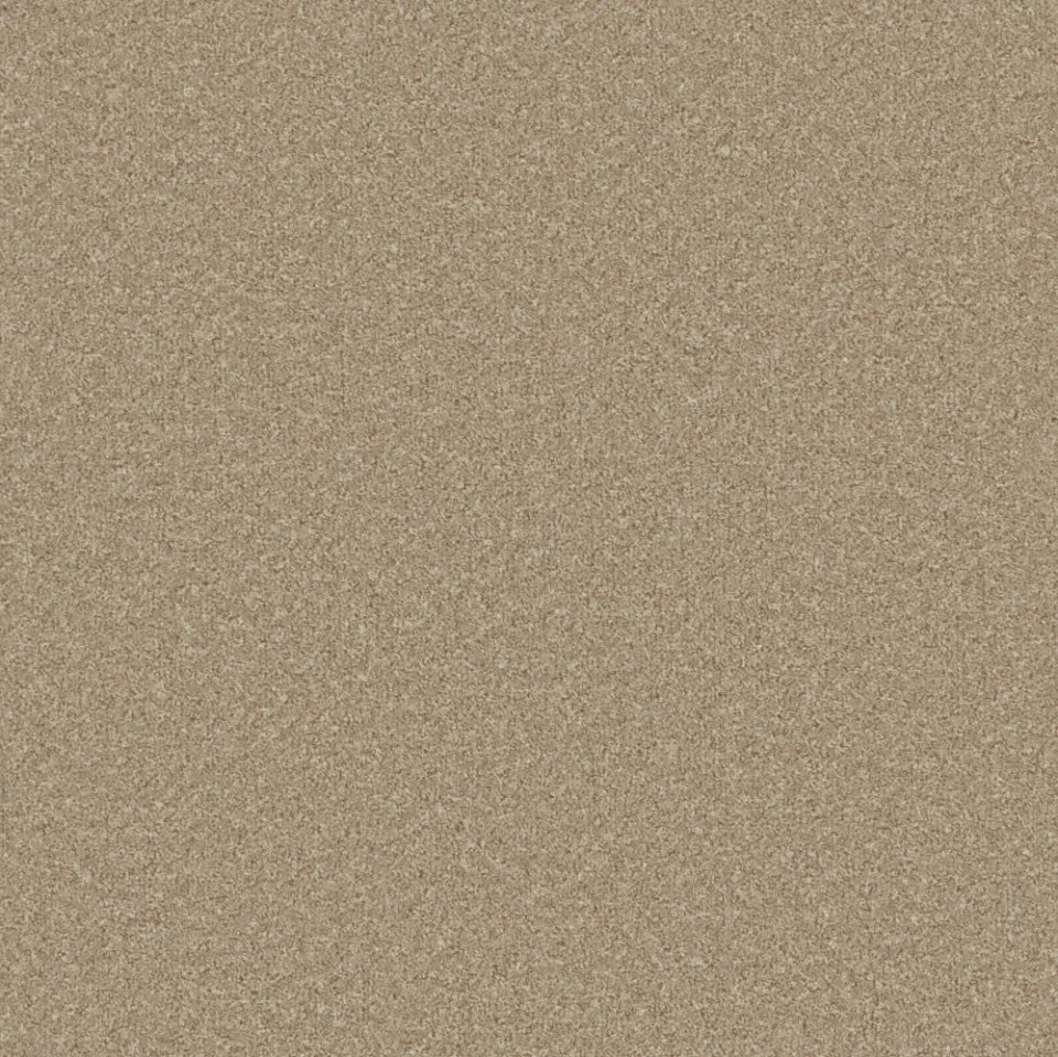 Londonderry twist pile carpet in Sand Dune