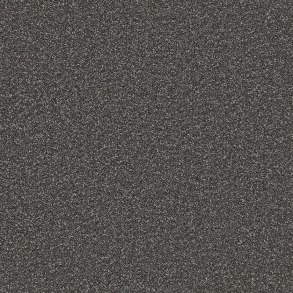 Londonderry twist pile carpet in Grey wolf
