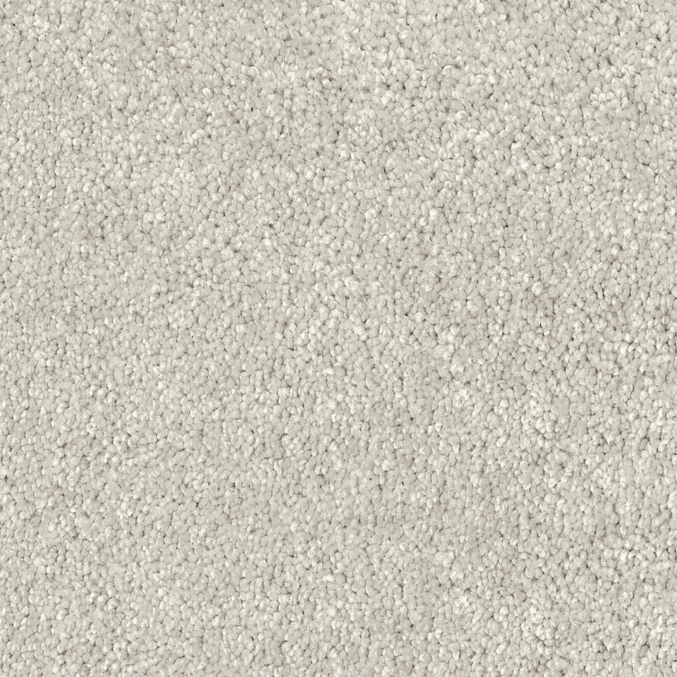 Love saxony carpet in colour poppy