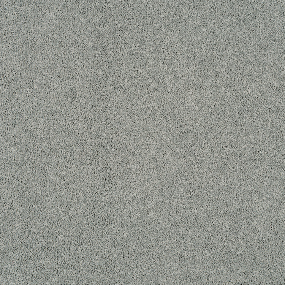 Magical feeling saxony carpet in colour 640
