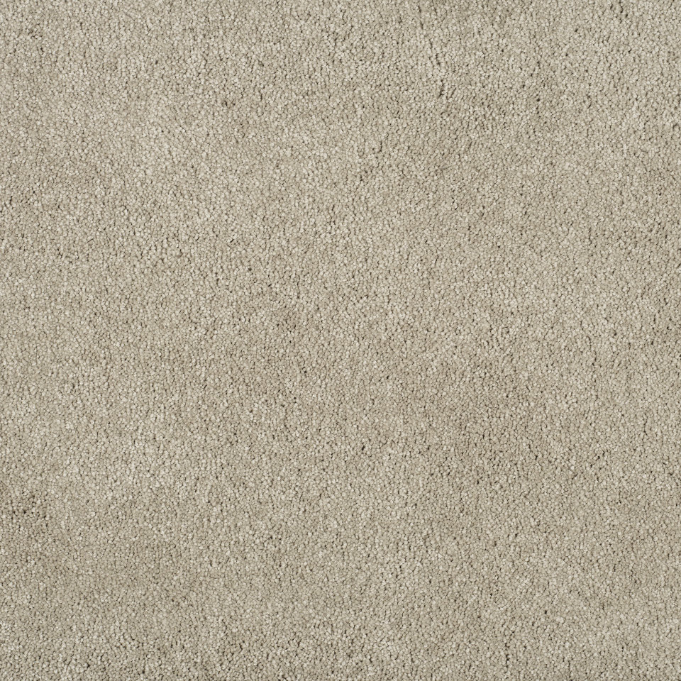 Magical feeling saxony carpet in colour Delicate Touch