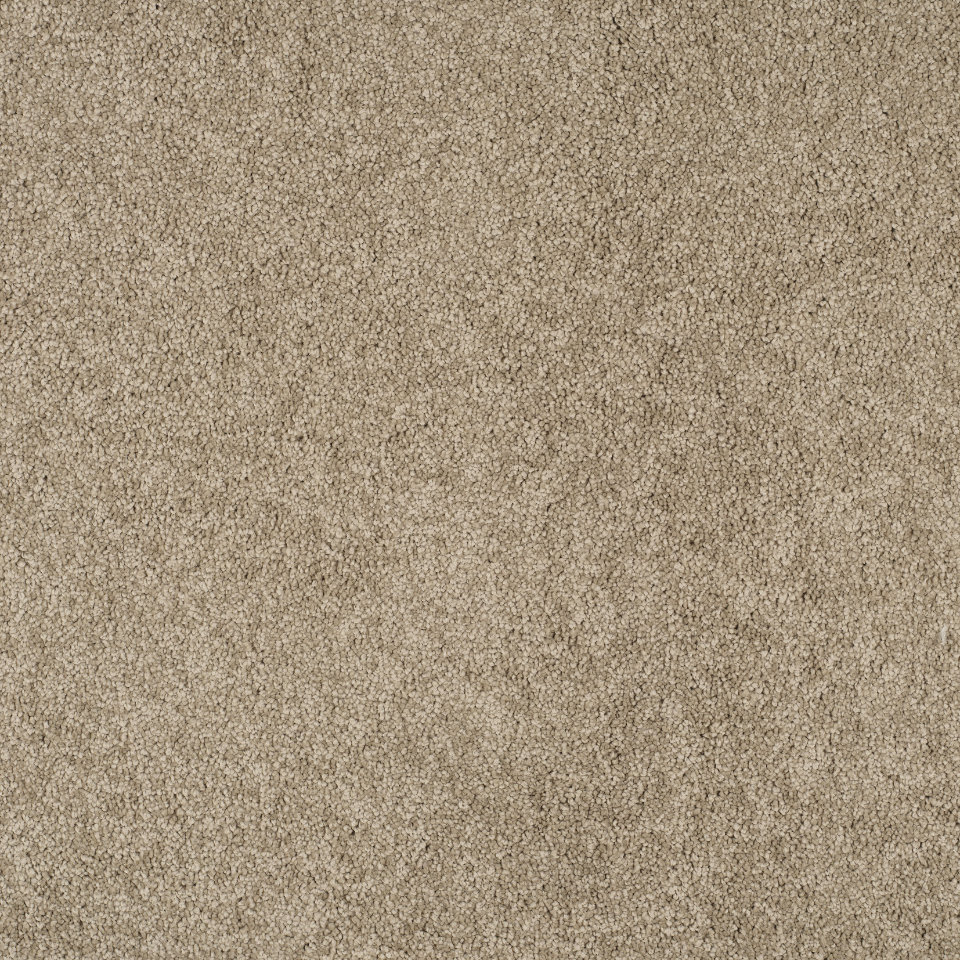 Magical feeling saxony carpet in colour Furry Beige