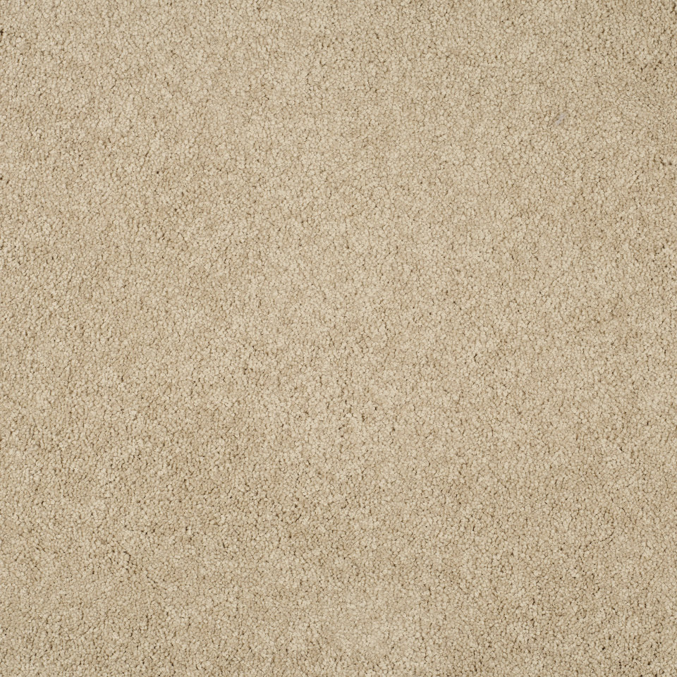 Magical feeling saxony carpet in colour Ibis White
