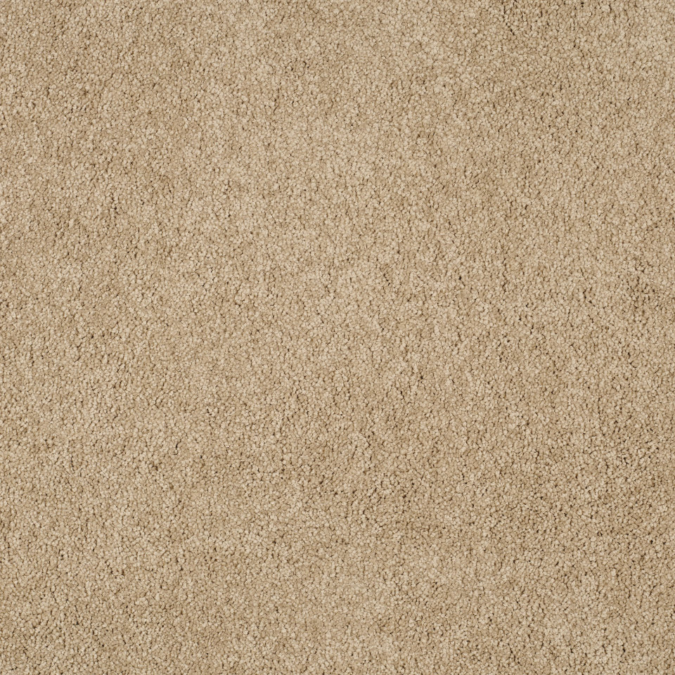Magical feeling saxony carpet in colour Muffin White