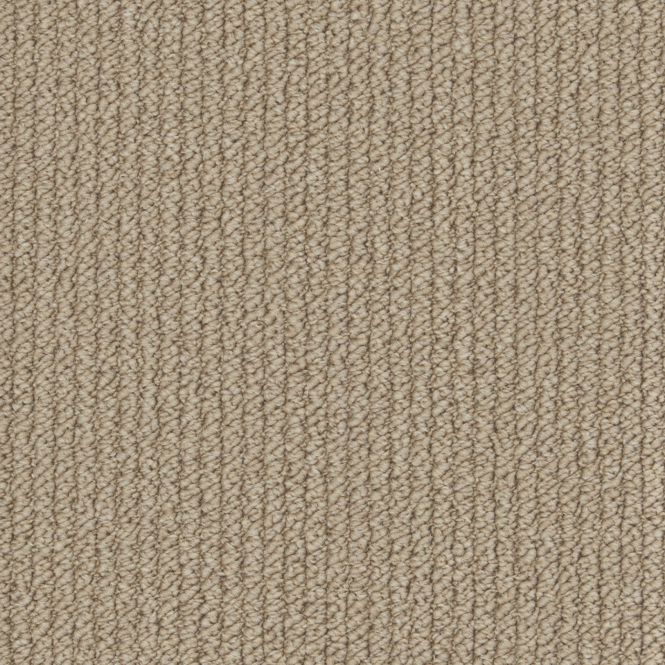 Mainland loop berber loop carpet in colour Antelope