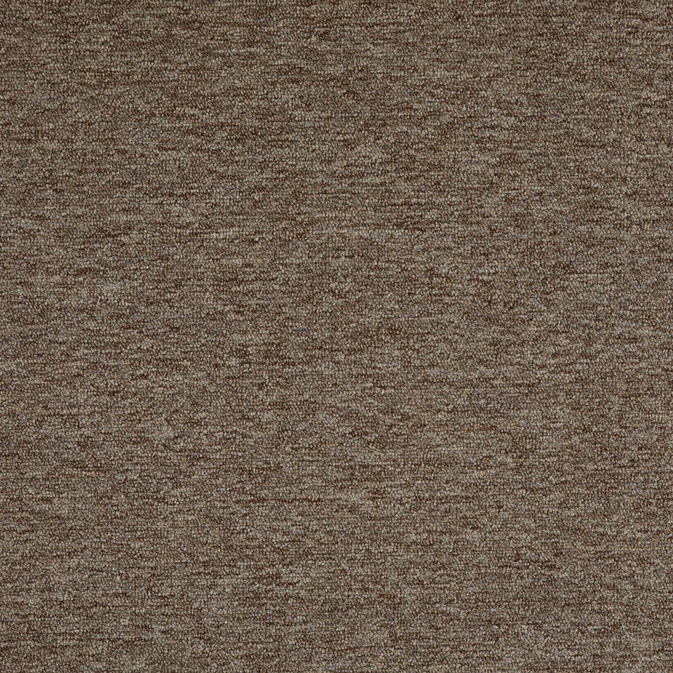 chile berber loop carpet in 96