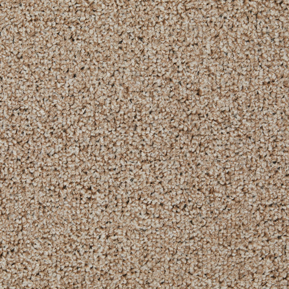 Perth twist pile carpet in 70
