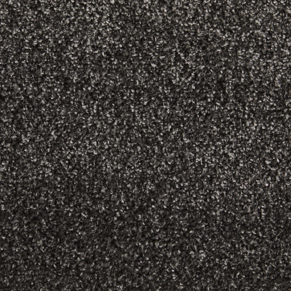 Perth twist pile carpet in 73