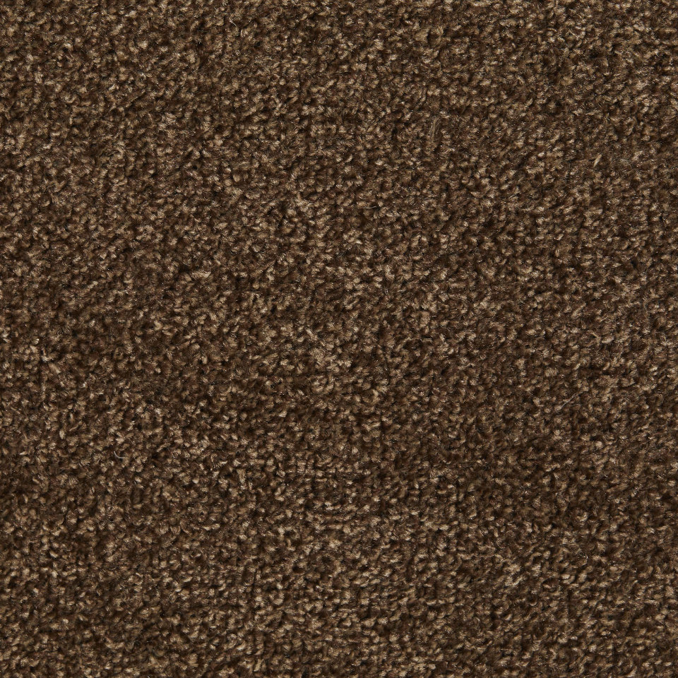 Perth twist pile carpet in colour 70