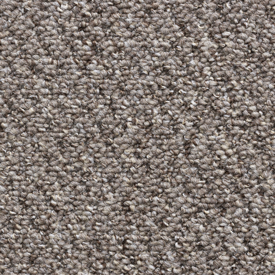 Castle Berber berber loop carpet in Mink