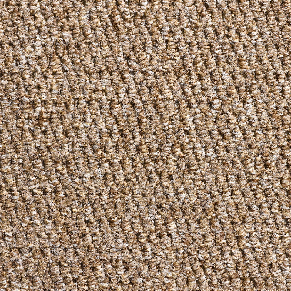 chile berber loop carpet in mink