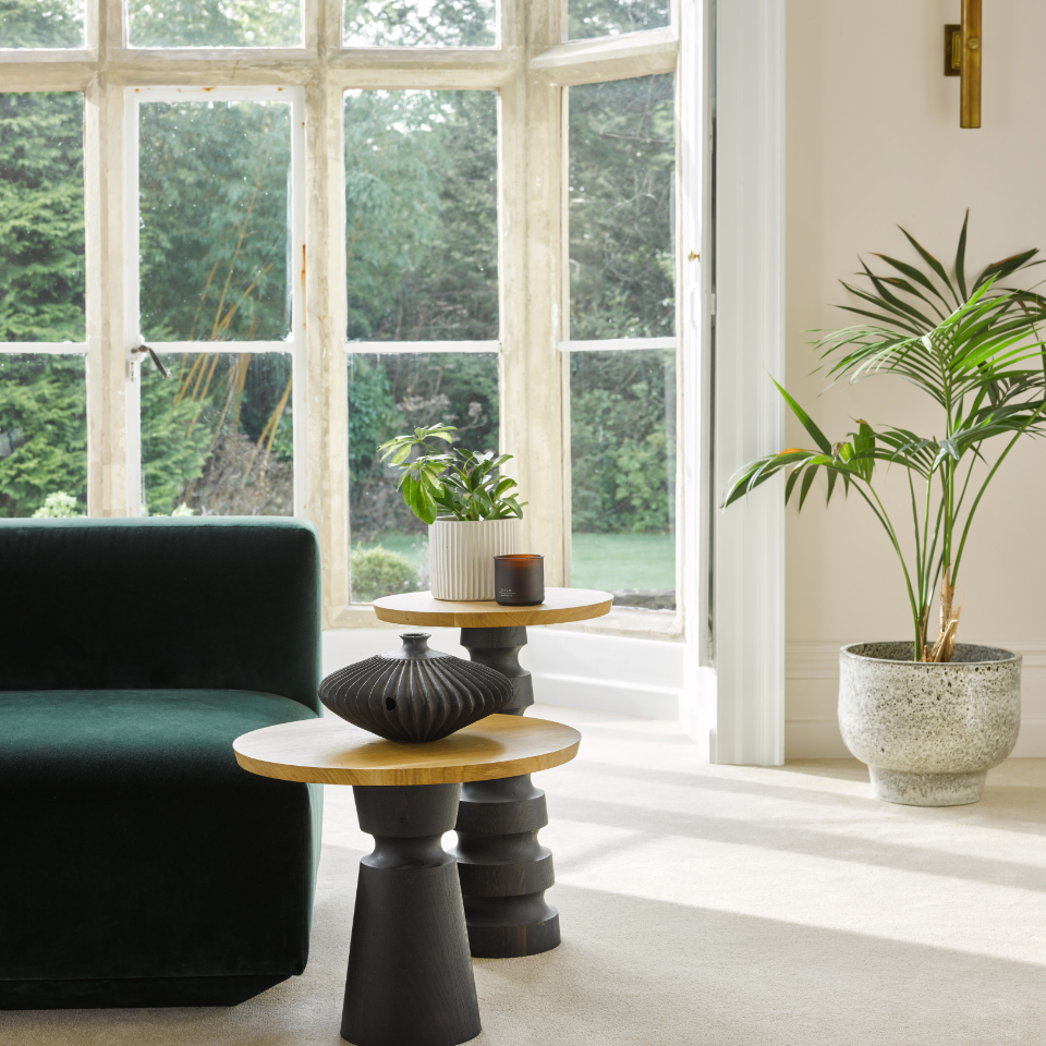 Grace twist pile carpet in Cherish