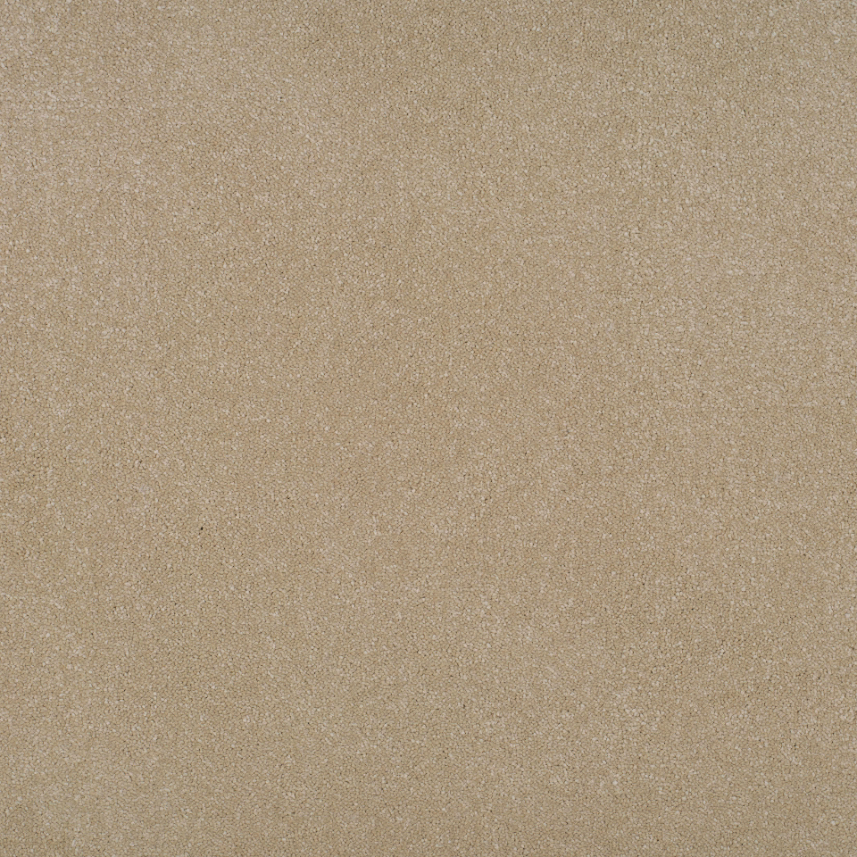 Grace twist pile saxony carpet in colour cherish