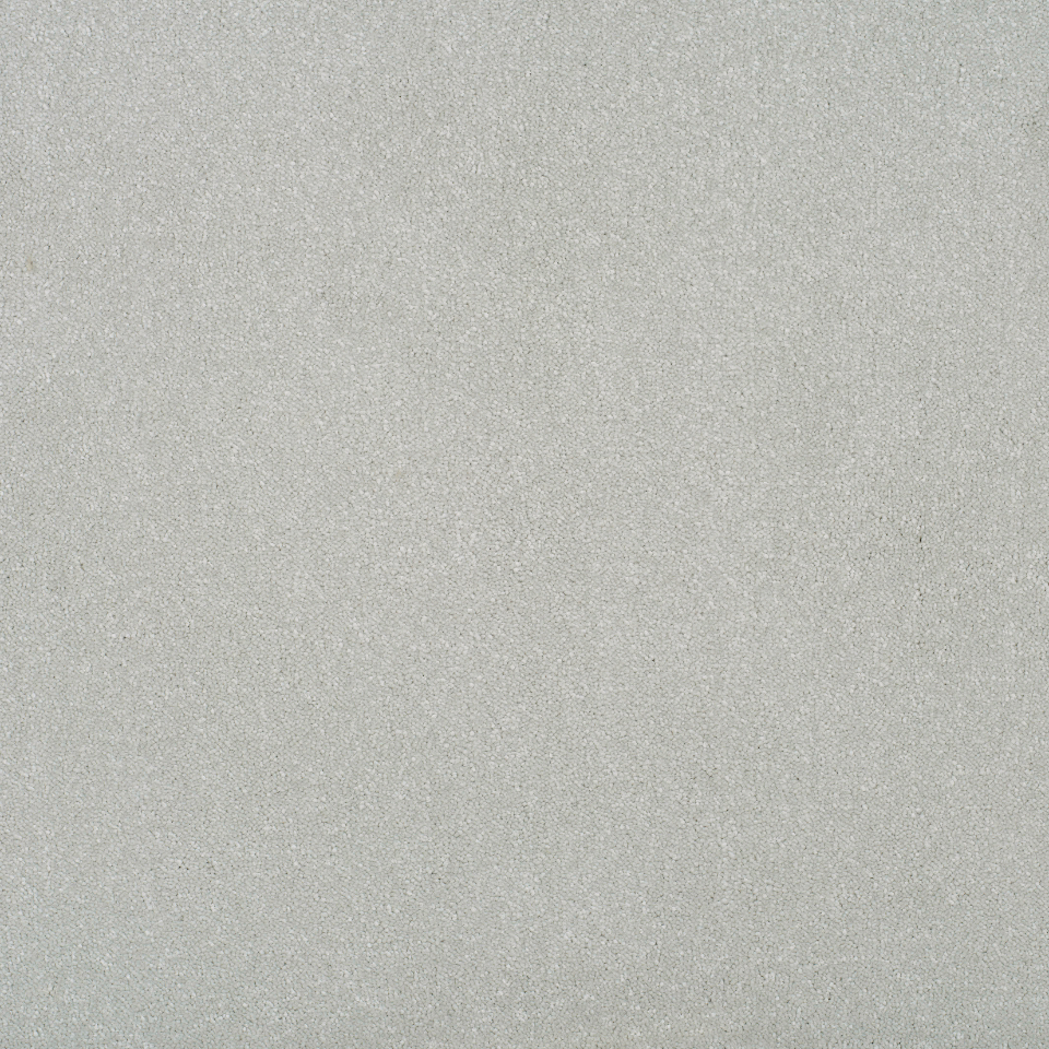 Grace twist pile carpet in Chic