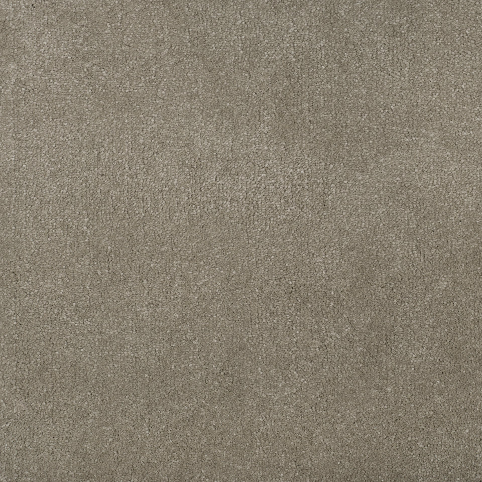 New York saxony carpet in colour Chanterelle