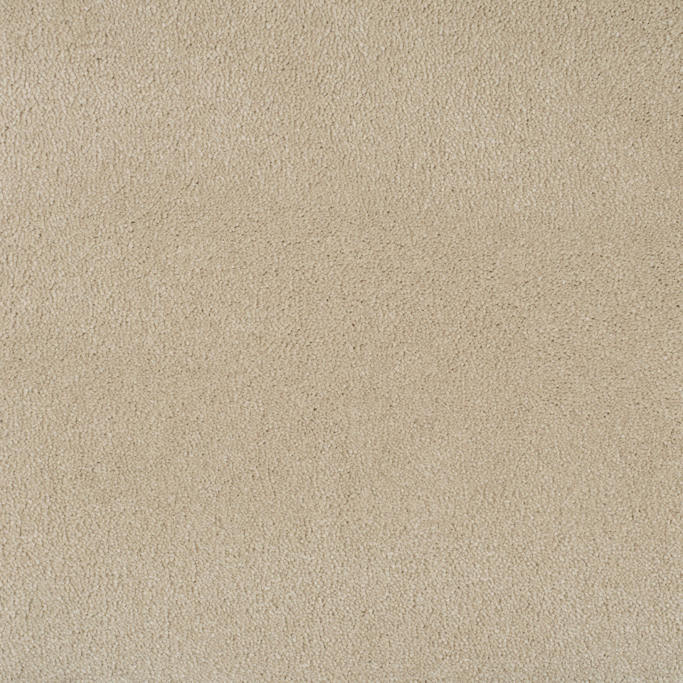 New York saxony carpet in colour Ice Petal