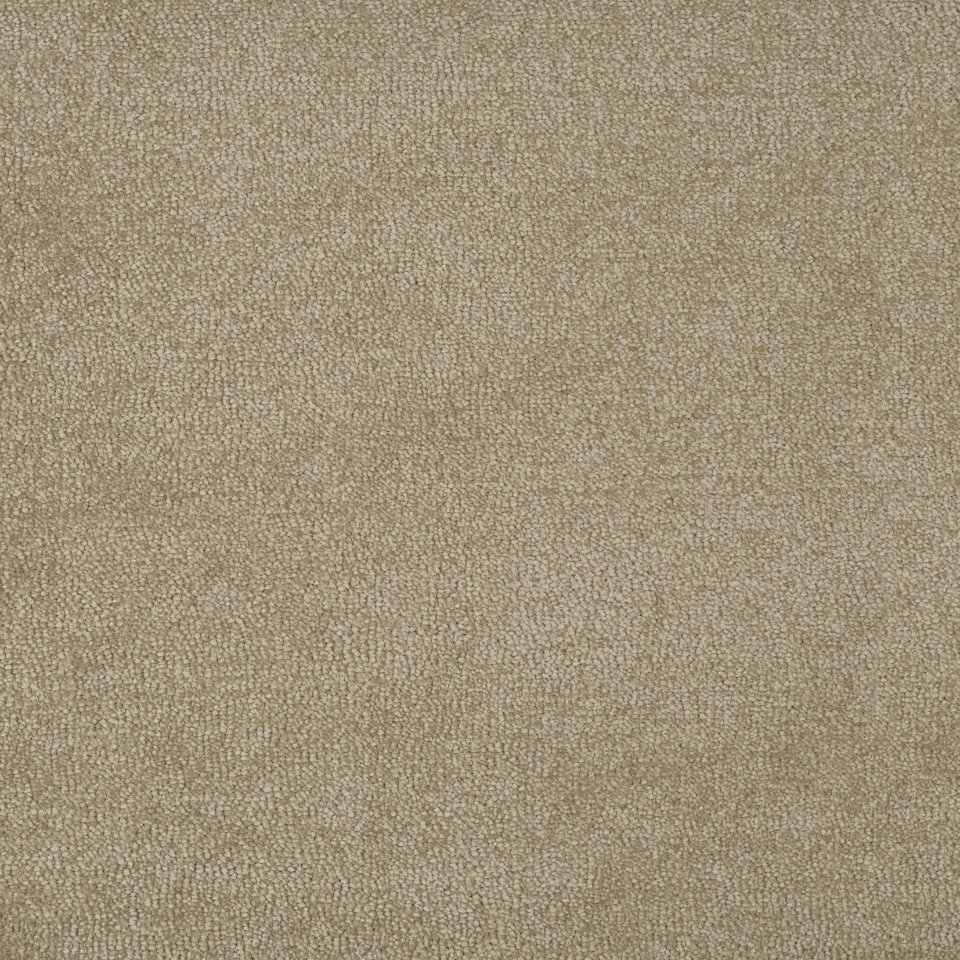 New York saxony carpet in colour Nomad Beige