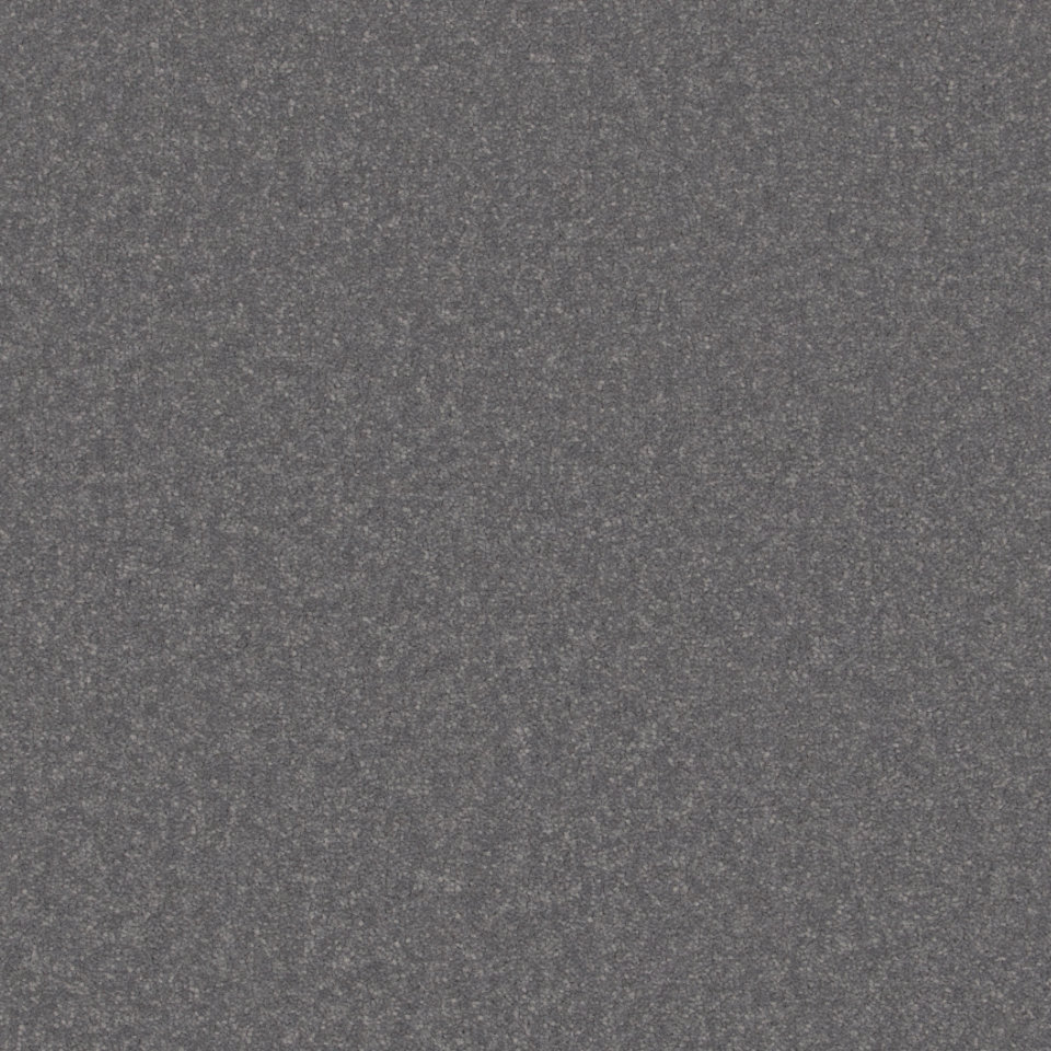 Lucca twist pile carpet in Pumice