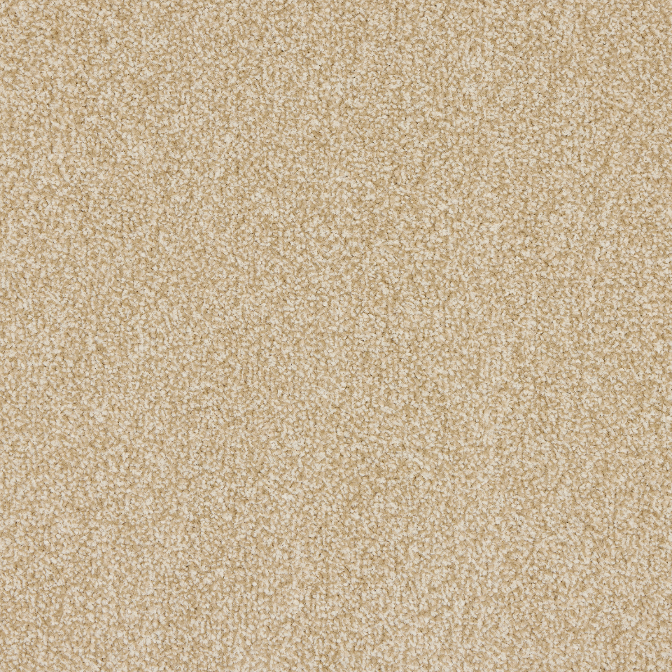 St Davids twist pile carpet in colour champagne