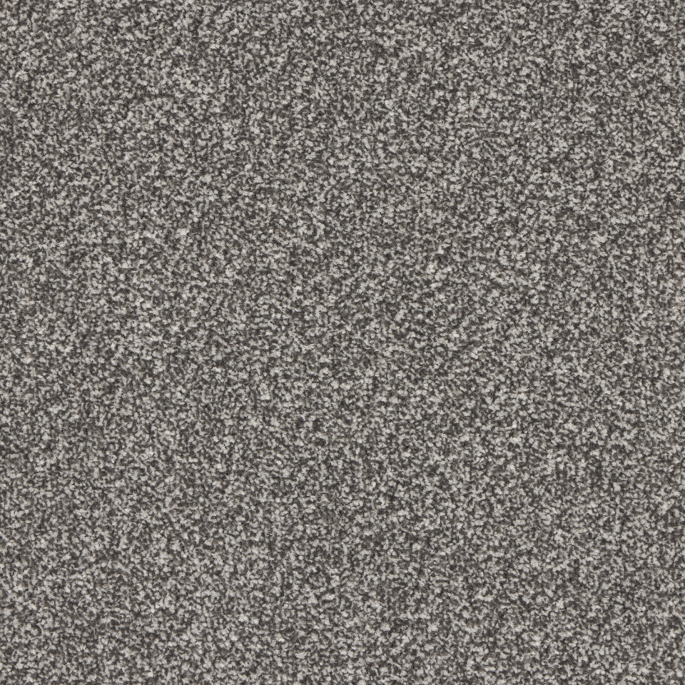 St Davids twist pile carpet in Steel
