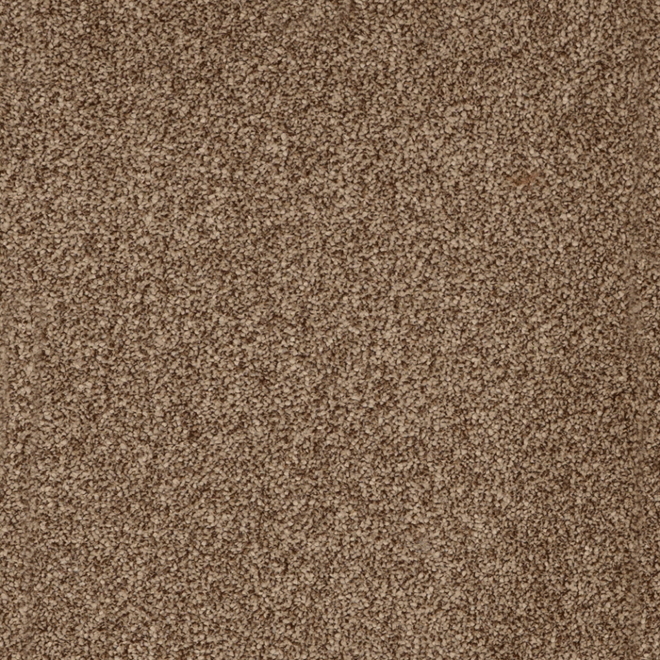 York Elite twist pile carpet in colour latte beige