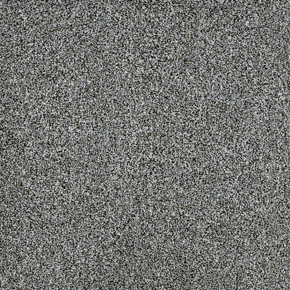 York Elite twist pile carpet in Wet Weather