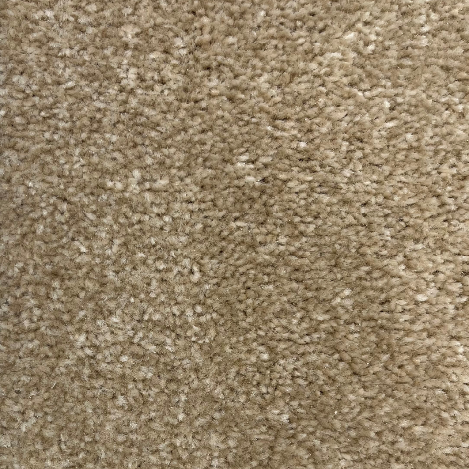 Provance classic saxony carpet in colour Alpaca