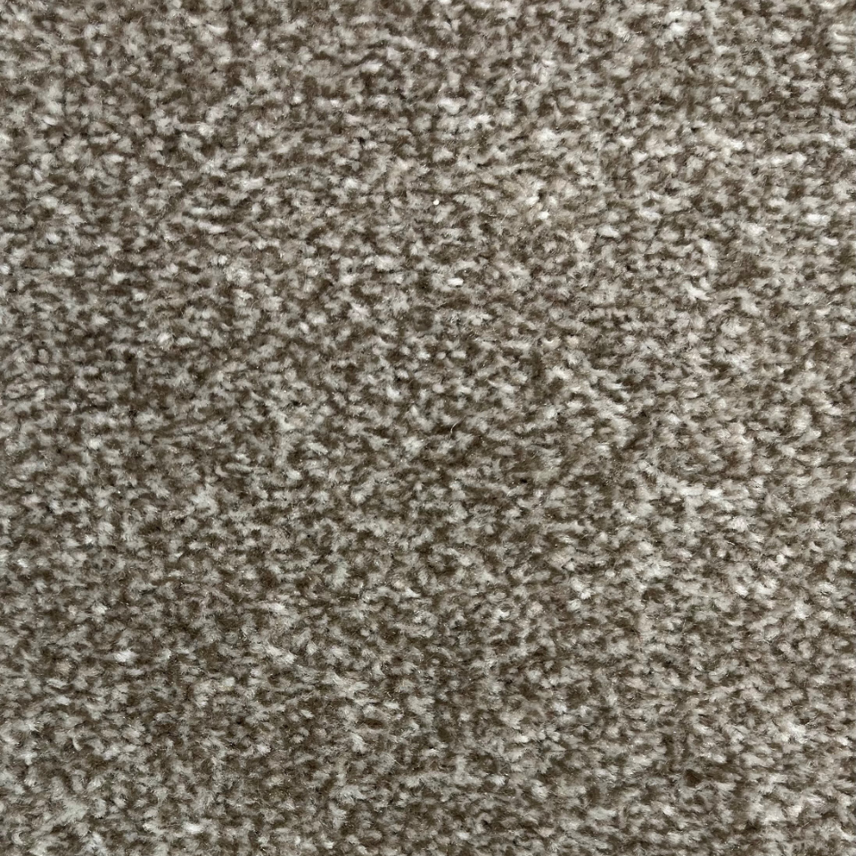 Provance classic saxony carpet in colour Truffle
