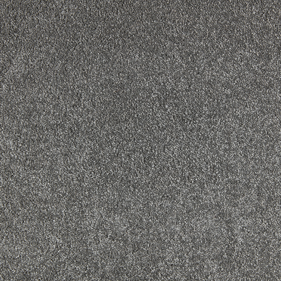 Soft distinction saxony carpet in colour Ash