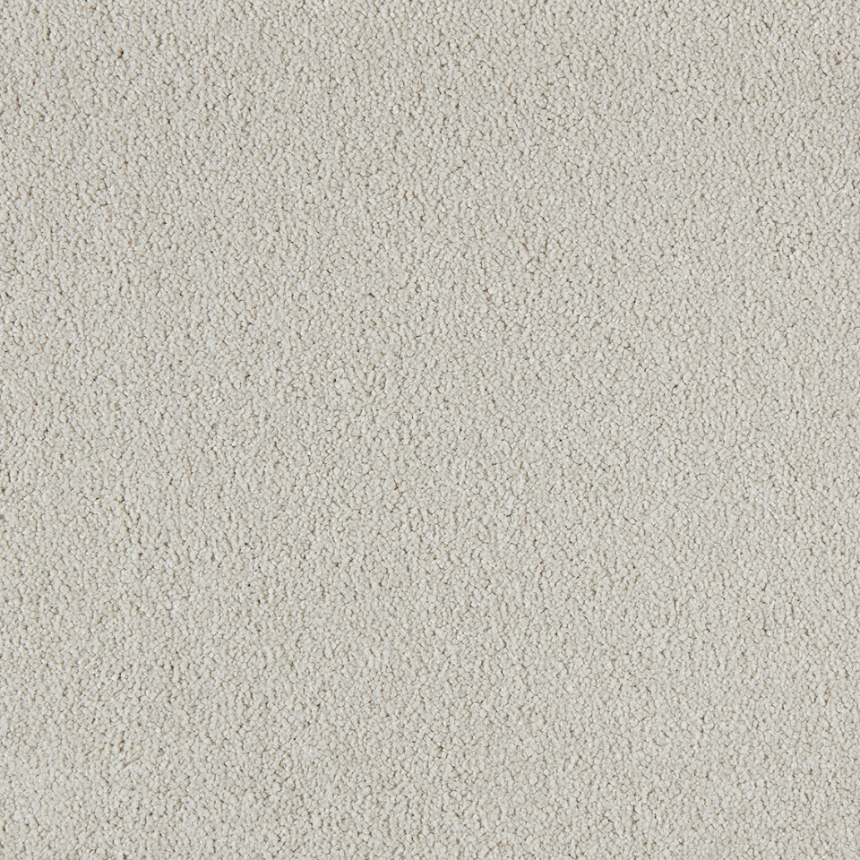 Soft distinction saxony carpet in colour Biscuit