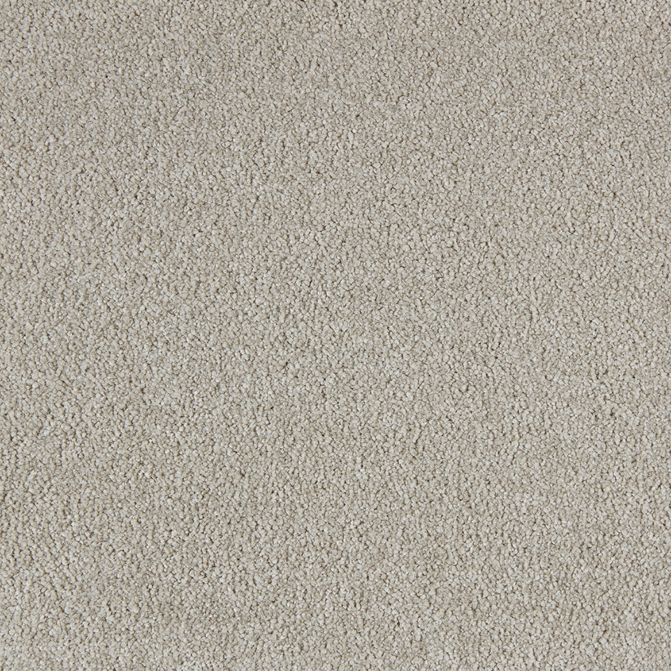 Soft distinction saxony carpet in colour Elmwood