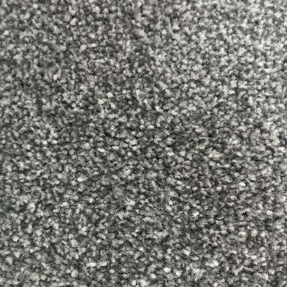 Sydney saxony carpet in Pewter
