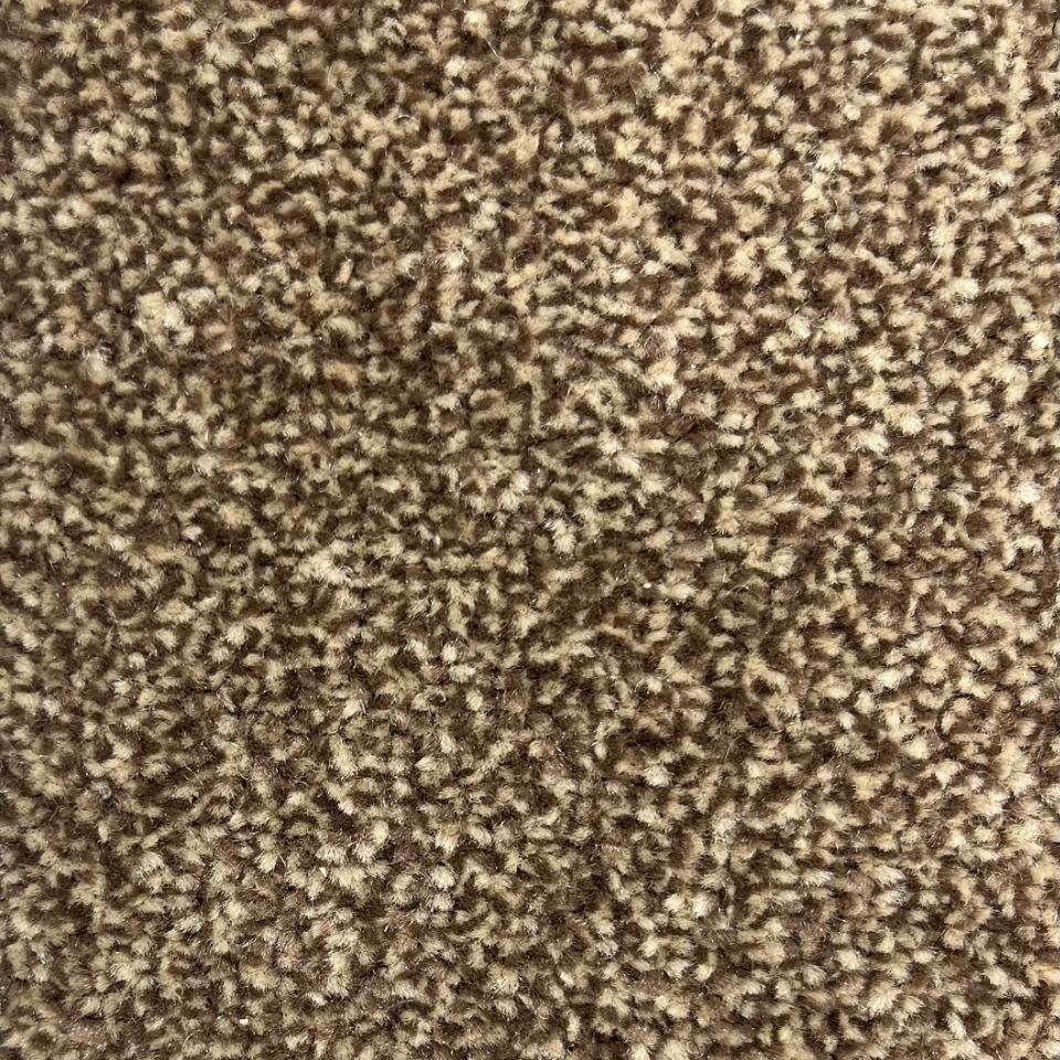 Sydney saxony carpet in colour Sable