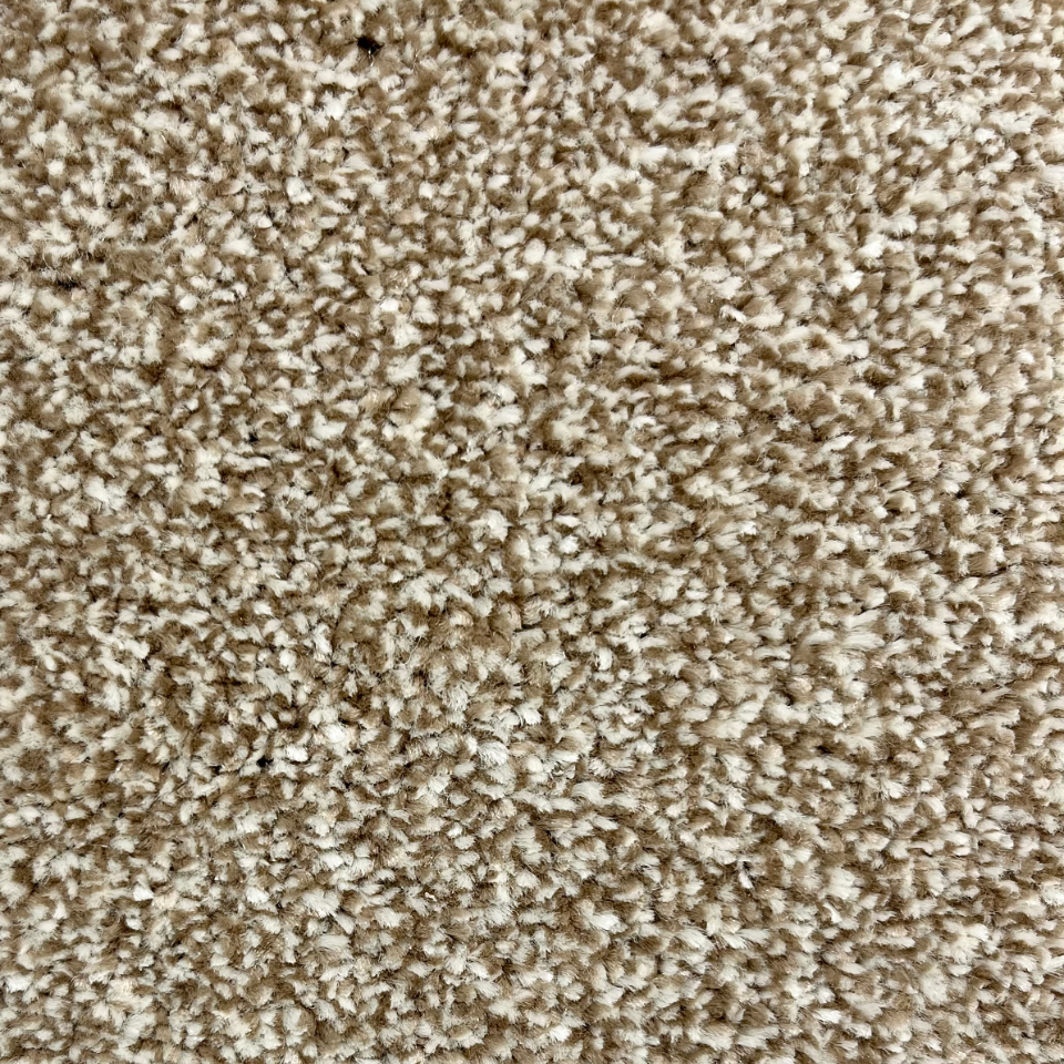 Sydney saxony carpet in Sandstone