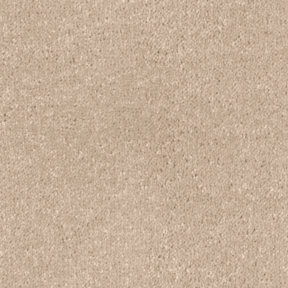 Texas twist pile carpet in colour Ivory
