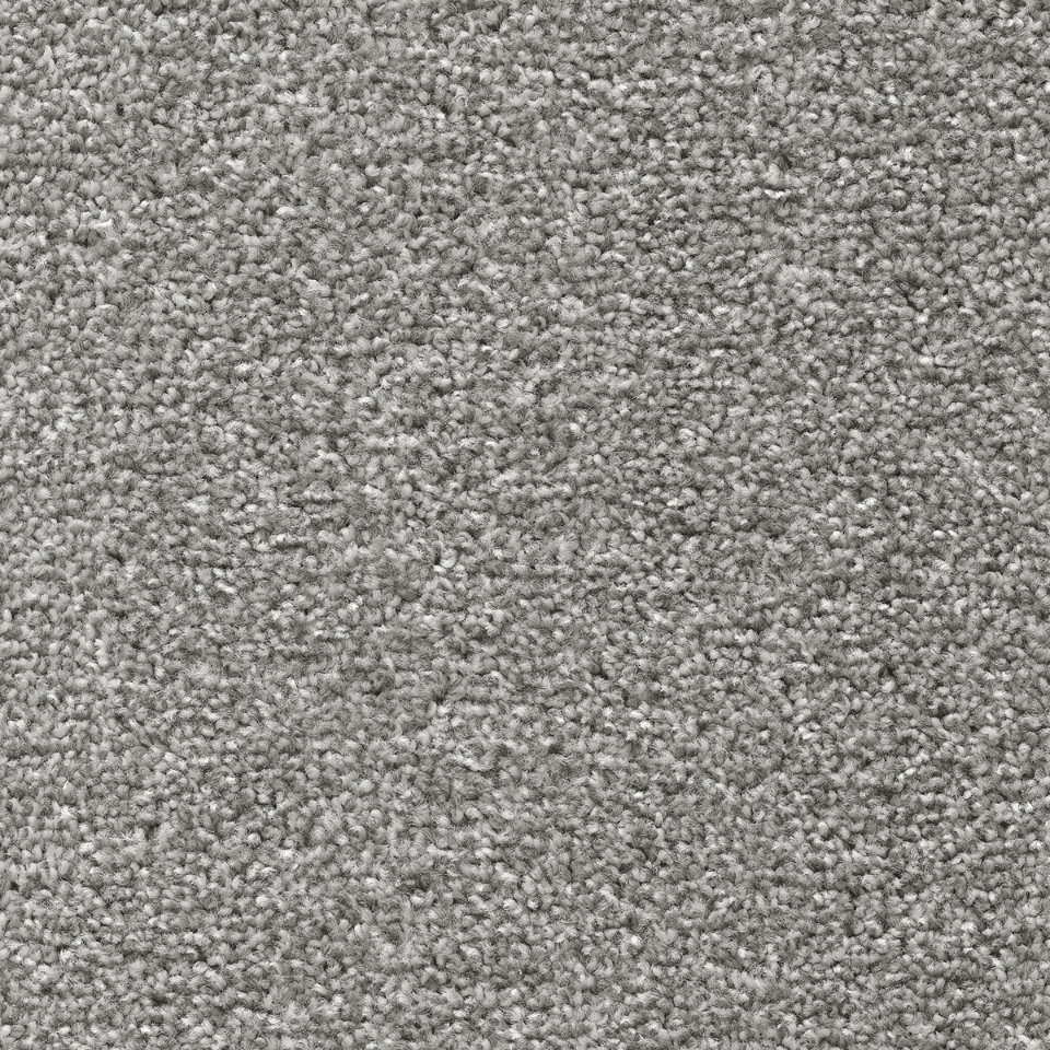 Tuftex twist pile carpet in antique grey