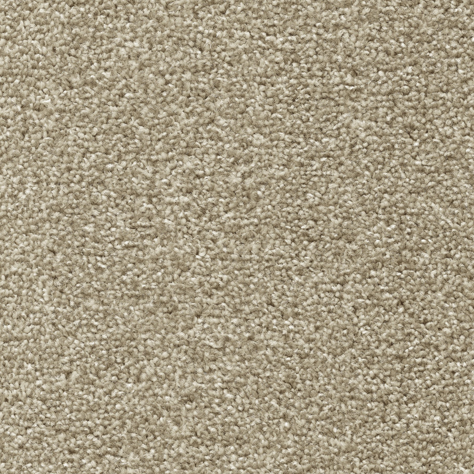 Tuftex twist pile carpet in blonde oak