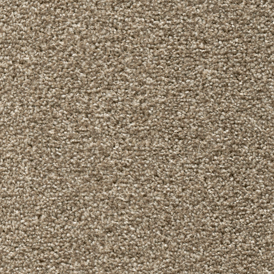 Tuftex twist pile carpet in Pebble beige