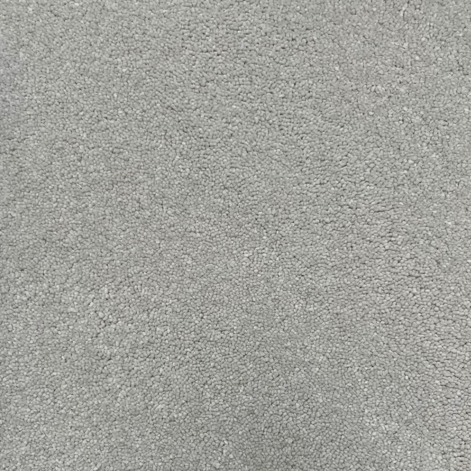 Ultimate impressions saxony carpet in colour Majesty
